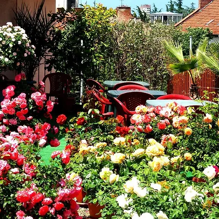 Hotel семеен роза