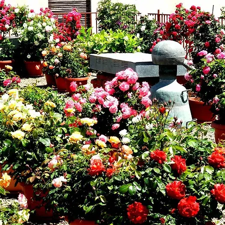 семеен роза Hotel Kazanlŭk