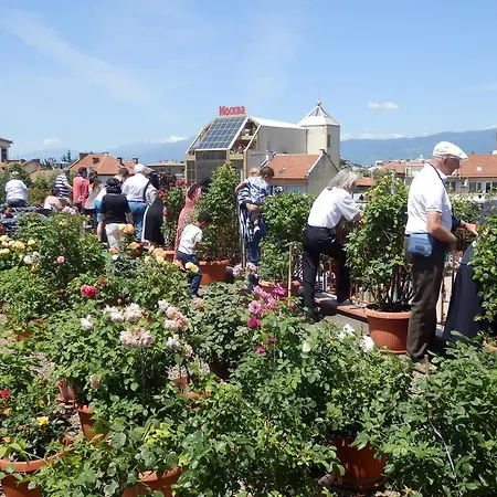 семеен роза 3* Kazanlŭk