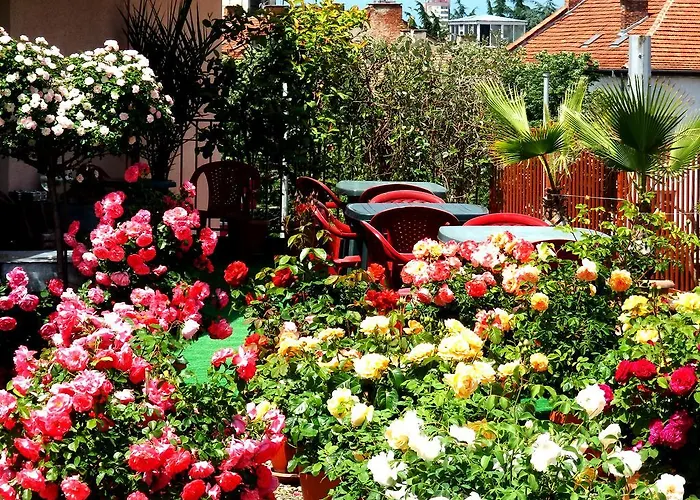 ホテル семеен роза