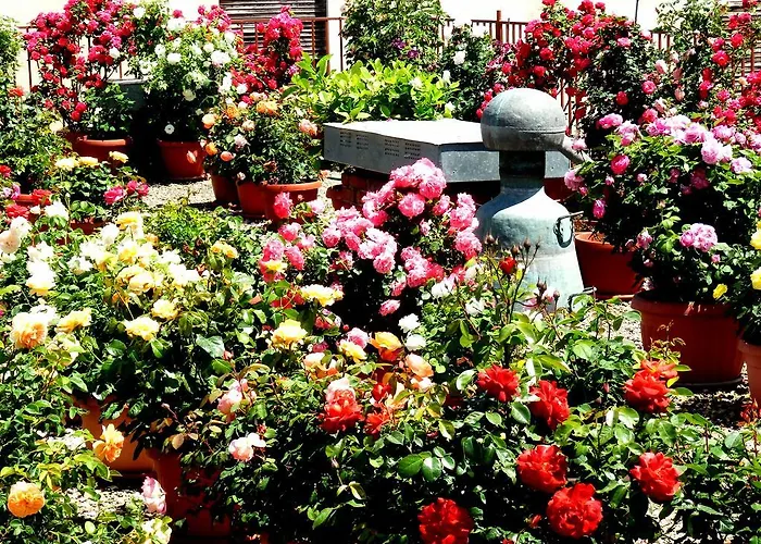 семеен роза Hotel Kazanlŭk