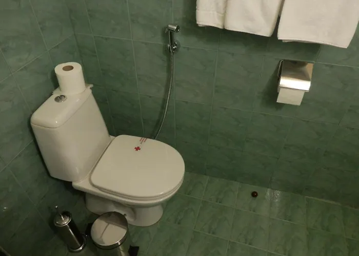 Hotel семеен роза 3*