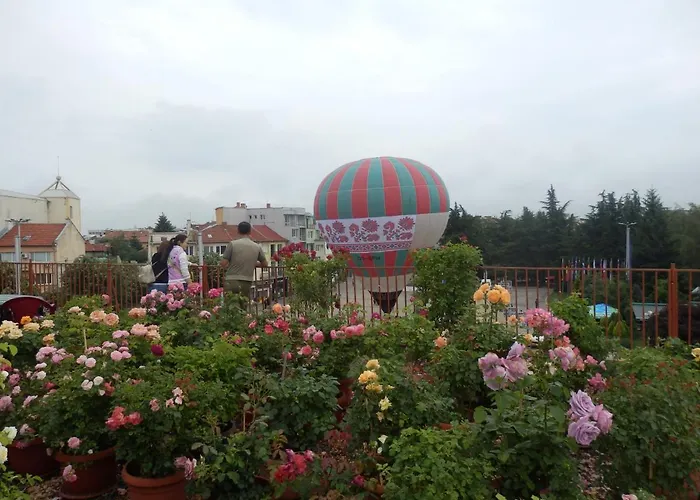 семеен роза Kazanlŭk